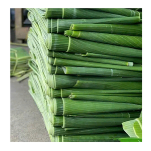 Feuille de bananier congelée du Vietnam, idéale pour emballer les aliments et les emballages naturels écologiques - Product Image 6