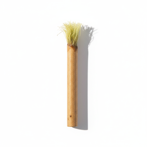BioNature Bâton dentaire à base de plantes Blanchiment organique Force des gencives Écologique Hygiène dentaire Nettoyage buccal naturel Miswak frais - Product Image 1