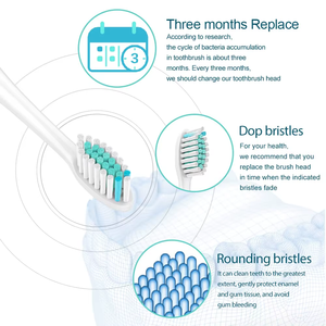 High Quality 8-Pack Premium Clean Replacement <b>Toothbrush</b> <b>Heads</b> for Inline Electric <b>Toothbrushes</b> for Household and Hotel Use - Product Image 5