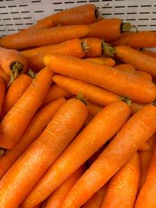 Zanahorias Frescas IQF de Buena Calidad, Nueva Cosecha, Aprobadas por HACCP, 4*4*30-50mm, en Venta - Product Image 4