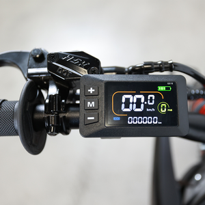 2025 최신 48V 2500W 20.8AH 50 km/h 성능 먼지 자전거 IPX6 모든 지형 전기 산악 자전거 - Product Image 4