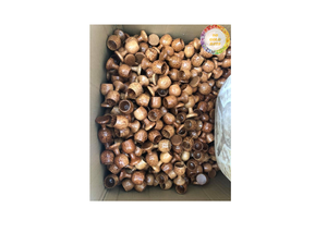 Tasse à thé en bois de noix de coco Matériau en bois de coco naturel fait à la main pour la consommation de thé et la fourniture d'ustensiles de cuisine du Vietnam - Product Image 6