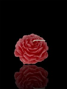 Velas Aromáticas Hechas a Mano de Marca Privada, Fabricante OEM/ODM, Cera de Soja Personalizada al por Mayor para Decoración del Hogar en Pascua y Diwali - Product Image 5