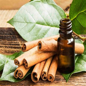 Aceite Esencial de Cassia al por Mayor para Aromaterapia y Masajes, Aceite de Canela Cassia para Relajación, OEM, ODM, Marca Privada y Suministro a Granel - Product Image 1