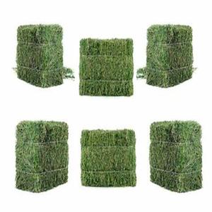 Offre Spéciale de balles de foin de luzerne aliments pour animaux au prix de gros - Product Image 4