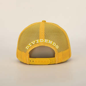 Haute qualité 5 panneau 3D broderie Logo casquette de camionneur personnalisé Oem gros maille Snap Back Gorras fête plage Performance toile - Product Image 6