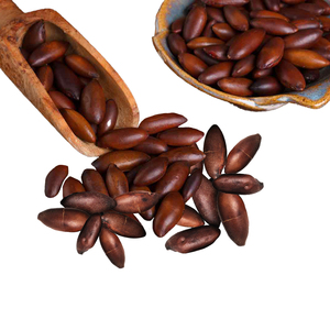 Snack brésilien superalimentaire non salé, noix de Baru sauvages, riches en sélénium, antioxydant, décortiquées, qualité supérieure, qualité alimentaire, 20 kg - Product Image 1