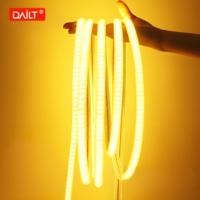 Bande LED Super Lumineuse Extérieure Étanche Flexible pour Plafond, Haute Tension 220V IP65 2700K Blanc Chaud Doux, PVC pour Parc Thématique