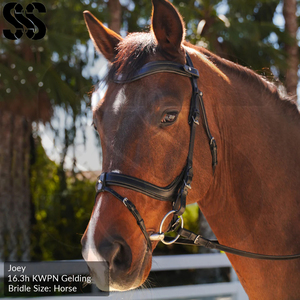 Nueva y Moderna Brida para Caballo de Cuero PU/Nylon de Primera Calidad, Duradera, Ajustable, para Equitación Inglesa, con Narquera Acolchada Suave, Personalizable - Product Image 6