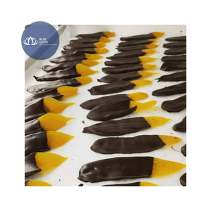 BEST SELLING Premium Sustainable <b>Sweet</b> Dried Mango Syrup Coated in Chocolate Fruit Snack - Product Image 1