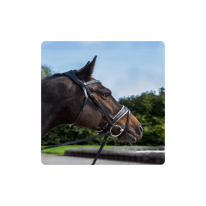 Fabricant indien de bride en cuir de cheval à vendre personnalisé Tokyo Snaffle Bridle Exportateur et fournisseur pliant - Product Image 1