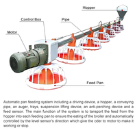 XINGMUYUAN Ligne d'alimentation automatique à vis sans fin pour poulets, mangeoire à plateau réglable, système d'alimentation avicole pour fermes de poulets de chair, de poules pondeuses et de reproducteurs