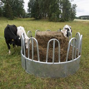 Petite Mangeoire à Foin Pour Balles Rondes - Anti-gaspillage, Durable, Pour Chevaux