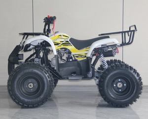 Quad tout-terrain à essence 2 roues motrices 125CC de haute qualité - Product Image 2
