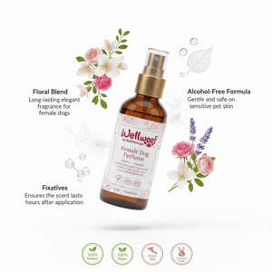 RedMoringa Spray Profumato per Cani Femmina da 30mL, Rimuovi Peli, Stile Semplice in Plastica, Fragranza Femminile a Lunga Durata - Product Image 3