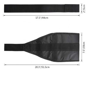 Correas de Nylon para Abdominales con Logotipo Personalizado, Cierre de Hebilla, para Gimnasio, Fisicoculturismo y Entrenamiento Muscular Abdominal, Más Vendidas - Product Image 6