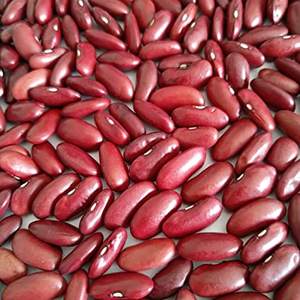 Haricots rouges de haute qualité en vrac Haricots rouges secs légers sans OGM - Product Image 1