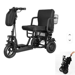 1000%% 3-Wheel Folding Electric Mobility <b>Tool</b> Fast Selling Customizable Product - Product Image 1