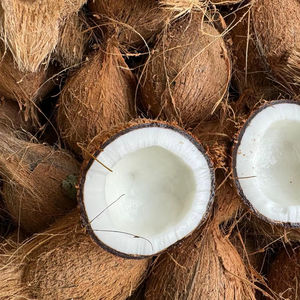 Noix de coco indienne de qualité supérieure (noix de coco semi décortiquée) Pollachi Fruits tropicaux et subtropicaux Noix de coco fraîche mûrie d'Inde - Product Image 1