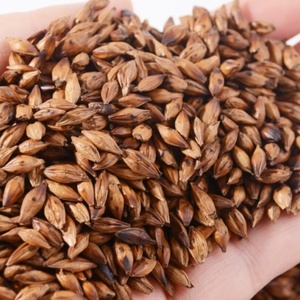 Cebada Perlada Orgánica Premium Seca / Grano / Cebada de Grado Alimenticio con 2 Años de Vida Útil Directo de Fábrica para Uso Alimentario - Product Image 4