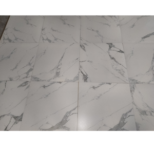 BALDOSA DE CERÁMICA 600 MM X 600 MM BALDOSA IMPRESA DIGITALMENTE PARA ESPACIOS INTERIORES Y EXTERIORES SUPERFICIE MATE - Product Image 3