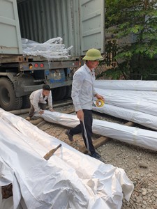 Varilla de mimbre natural de mimbre, caña de ratán de caña de Manau recta duradera, grande para manualidades, cantidad de ratán redondo de Vietnam - Product Image 3