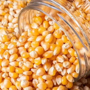 ข้าวโพดสีเหลืองบริสุทธิ์และเป็นธรรมชาติสำหรับอาหารสัตว์ขายส่ง - Product Image 1