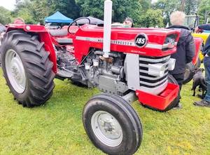 รถแทรกเตอร์ฟาร์ม Massey Ferguson MF165 2WD 4WD ดีเซล ใหม่และมือสอง สำหรับการเกษตรและการทำฟาร์มเชิงพาณิชย์ - Product Image 3