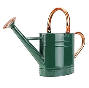 Nouvel arrivage Arrosoir décoratif et porte-fleurs en métal pour plantes vert clair fini intérieur et extérieur - Product Image 6