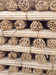 Vietdelta Procesamiento Directo Corteza de Ratán en Rodajas de Alta Calidad en Grandes Cantidades para Muebles Uso Alimentario Directamente desde Vietnam - Product Image 2