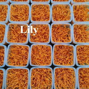 Fourniture en vrac de Cordyceps Militaris lyophilisés OEM et marque de distributeur disponibles/Lily - Product Image 1