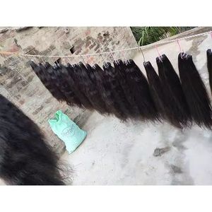 Top Quality <b>Cheap</b> Vendors Single Donor Raw Indian Hair Straight Human Hair <b>Extensions</b> Bulk Virgin Remy Export Grade Hair - Product Image 4