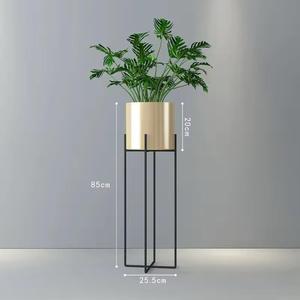 ที่ตั้งโรงงานผลิตอากาศ-อุปกรณ์เสริม Air bromeliad-การตกแต่งดอกไม้พืชไร้ดิน - Product Image 2