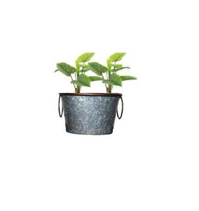 Galvanized Oval Shape Metal Tin Plant Flowers Planter Pot with Metallic Handles Good Quality Products for Home and Garden Decor - Product Image 1
