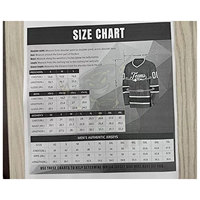 Camisetas de Hockey sobre Hielo Transpirables Personalizadas, Diseños Impresos por Transferencia de Calor, Uniformes de Equipo, Ropa Deportiva Personalizada 100%