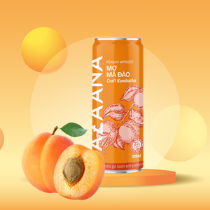 Kombucha buena calidad melocotón albaricoque vitamina buen embalaje personalizado al por mayor hecho en Vietnam fabricante - Product Image 2