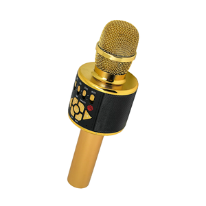 Gaodas Karaoke mikrofon hoparlör ile profesyonel gürültü UHF çift kanallar kablosuz mikrofonlar sistemi dahili DSP - Product Image 4