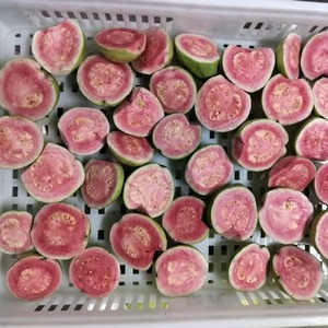 ฝรั่งแช่แข็งแบบพรีเมี่ยมพร้อมเมล็ดแบ่งครึ่งฝรั่งสดแช่แข็งสำหรับความหวานเขตร้อนในการสั่งซื้อจำนวนมาก - Product Image 1