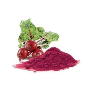 Polvo de escarabajo deshidratado para uso en la cocina, suministro al por mayor del proveedor indio, el más vendido - Product Image 2