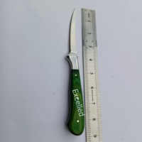 Cuchillo de chef de filete hecho a mano personalizado de 9 "con mango de madera Pakka, hoja de acero J2, incluye Funda de cuero, cuchillo para deshuesar pesca