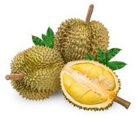 Vietnam Durian Direct: Exclusieve Importdeals