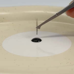 [BL GLUE] Colla Coreana per Extension Ciglia a Tenuta Forte 5g, Vegana, Liquida, Trasparente, Asciugatura Rapida, Impermeabile, Durata 7 Settimane - Product Image 6