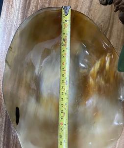 ชุดอาหารเซรามิกทรงเขาควาย จัดส่งรวดเร็ว เป็นมิตรกับสิ่งแวดล้อม เหมาะสำหรับงานเลี้ยง อาหารเย็น สลัด ผลไม้ ผัก ใช้บนโต๊ะอาหารในครัว ให้ความรู้สึกหรูหรา - Product Image 1