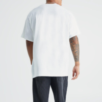 T-shirt pour homme en polyester/coton, coupe ample, anti-rides, séchage rapide, écologique, personnalisé, imprimé, pour le fitness