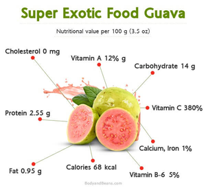 <b>Guava</b> Pink Puree Juice Concentrate From Vietnam ANNA - Product Image 6