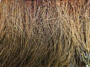 Qualité supérieure de l'épurateur de fibre de coco nettoyage de cuisine forme d'épurateur naturel fabricants indiens - Product Image 4