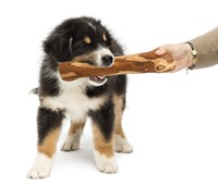 Jouets à mâcher pour chiens en laine brune écologique faits à la main ArtisRaw, modèle VD041, fabriqués au TN
