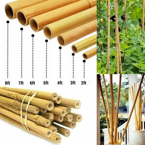 Poteaux en bambou naturel pour meubles muraux au plafond et projets d'artisanat Approvisionnement du Vietnam - Product Image 2