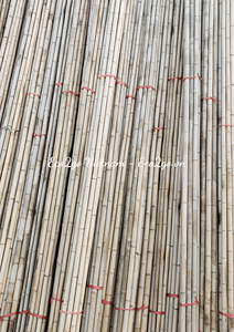 Bambou Organique Au Vietnam Bambou Piquets Cannes/Piquets De Bambou Pour Jardin Par Eco2go Vietnam - Product Image 2