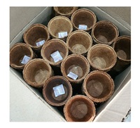 Prix de marché bas 100% pots en fibre de coco naturelle et en latex pour la culture de fleurs agricoles du Vietnam